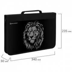 Папка на молнии с ручкой - Фото 1