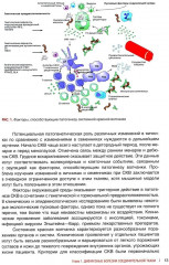 Биопсийная диагностика ревматических заболеваний. Руководство для врачей - Фото 5