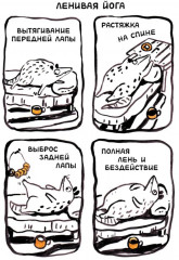 Ивовый лес - Фото 6