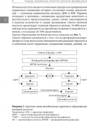 Подагра и бессимптомная гиперурикемия. Пособие для врачей - Фото 4