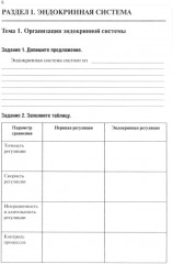 Анатомия человека. Спланхнология Часть 6. Эндокринная система, иммунная и лимфатическая системы - Фото 1