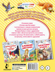 Конь с розовой гривой - Фото 1