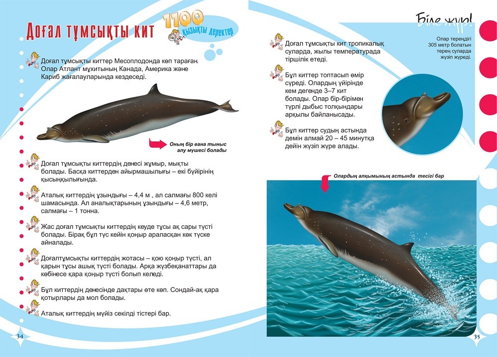 Анасы мен ұлының ретро порносы