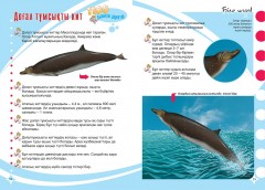 Акулалар, дельфиндер және киттер - Фото 1