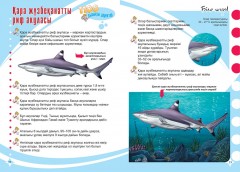 Акулалар, дельфиндер және киттер - Фото 2