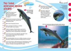 Акулалар, дельфиндер және киттер - Фото 3