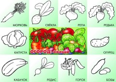 Игра настольная «В саду, на поле, в огороде» - Фото 2