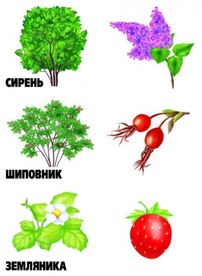 Игра настольная «Где растет огурчик?»