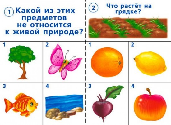 Игра настольная «Готов ли ты к школе? Окружающий мир, природа»