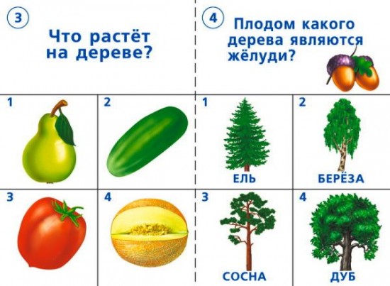 Игра настольная «Готов ли ты к школе? Окружающий мир, природа»