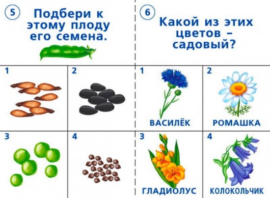Игра настольная «Готов ли ты к школе? Окружающий мир, природа»