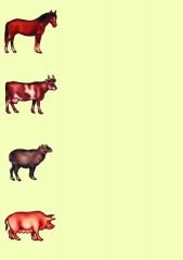 Настольная игра «Животные и птицы» - Фото 2