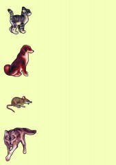 Настольная игра «Животные и птицы» - Фото 3