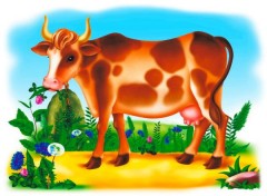 Демонстрационный материал «Деревенский дворик» - Фото 2