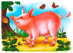 Демонстрационный материал «Деревенский дворик» - Фото 3