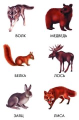 Игра настольная «Мир вокруг нас» - Фото 3