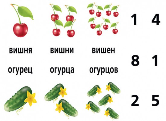 Игра настольная «Слова и числа»