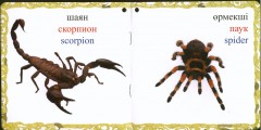 Жәндіктер. Насекомые. Insects - Фото 1