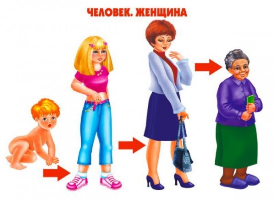 Демонстрационный материал «Как растет живое»