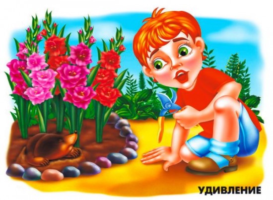 Наши чувства и эмоции