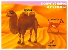 Демонстрационный материал «Природно-климатические зоны Земли» - Фото 2