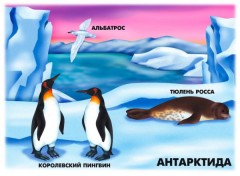 Демонстрационный материал «Природно-климатические зоны Земли» - Фото 3