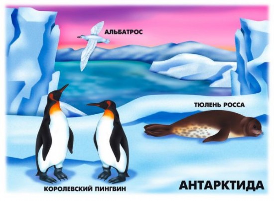 Природно-климатические зоны Земли