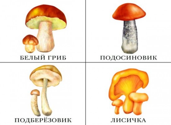 Что в моей корзинке?