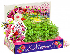 Подарочный набор «Живая открытка 8 марта» - Фото 1