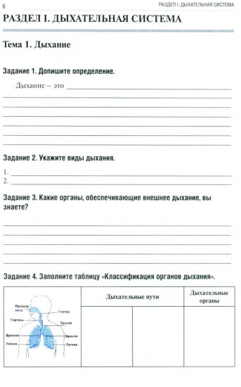 Анатомия человека. Спланхнология. Часть 5