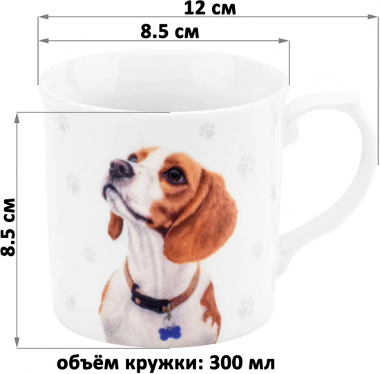 Кружка «Бигль»