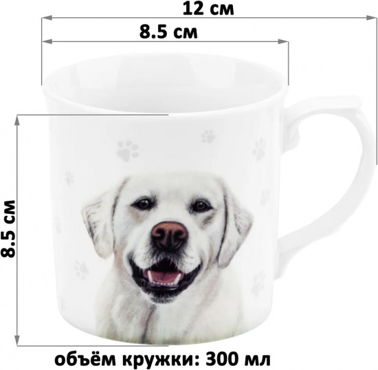 Кружка «Лабрадор»