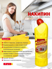 Средство против накипи и ржавчины «Накипин» - Фото 1