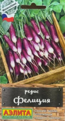 Редис «Фелиция» - Фото 1