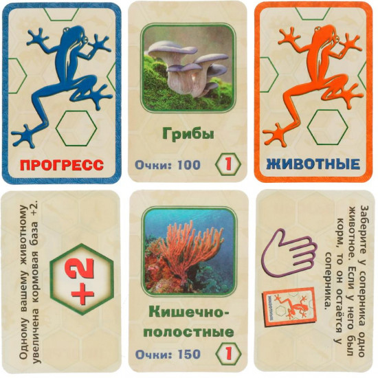 Настольная игра «Эволюционный прогресс»