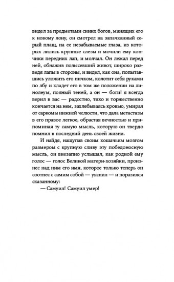 Утро было глазом