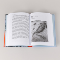 Как живые: двуногие змеи, акулы-зомби и другие исчезнувшие животные - Фото 4