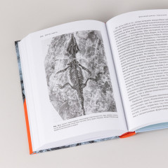 Как живые: двуногие змеи, акулы-зомби и другие исчезнувшие животные - Фото 6