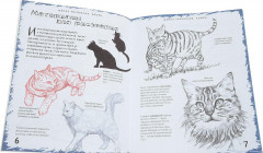 Школа рисования. Кошки - Фото 2