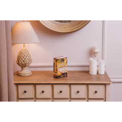 Сейф-книга «Остров сокровищ» - Фото 3