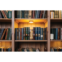 Сейф-книга «Остров сокровищ» - Фото 8