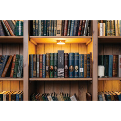 Сейф-книга «Экономическая мысль античности» - Фото 13