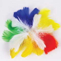 Набор перьев декоративных - Фото 1