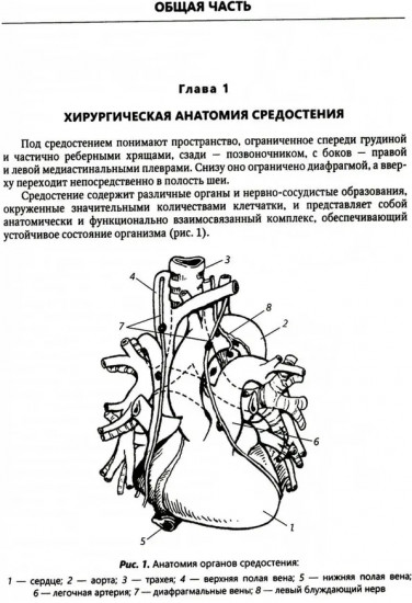 Хирургия средостения. Руководство для врачей