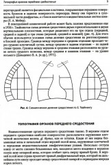 Хирургия средостения. Руководство для врачей - Фото 5