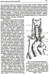 Хирургия средостения. Руководство для врачей - Фото 10