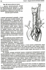 Хирургия средостения. Руководство для врачей - Фото 11