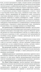 Логопедический массаж - Фото 4