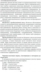 Логопедический массаж - Фото 7