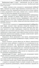 Логопедический массаж - Фото 8